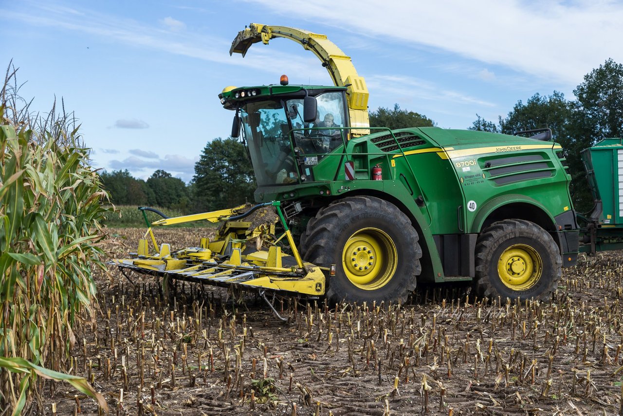 Bild 165 - Maisernte